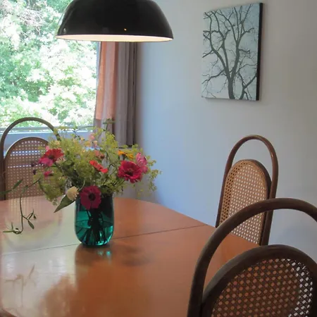 K9 * Munster (North Rhine-Westphalia)